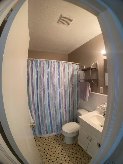 Private One-Bedroom 6 -Directly Across From Beach 圣徒皮特海滩 外观 照片